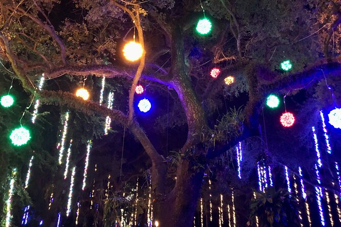 Flamingo Gardens' Garden of Lights - Access, weather, and practical planning