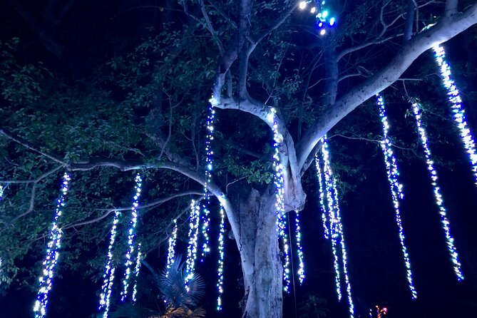 Flamingo Gardens' Garden of Lights - Who will enjoy Garden of Lights most