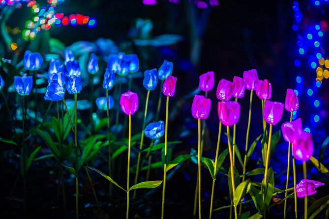 Flamingo Gardens' Garden of Lights - Santa, snow, and the family side of the event