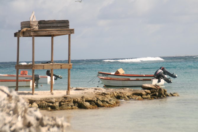 Flamingo & Mangrove Trip with Local Guide - A shared vehicle, not a private island tour
