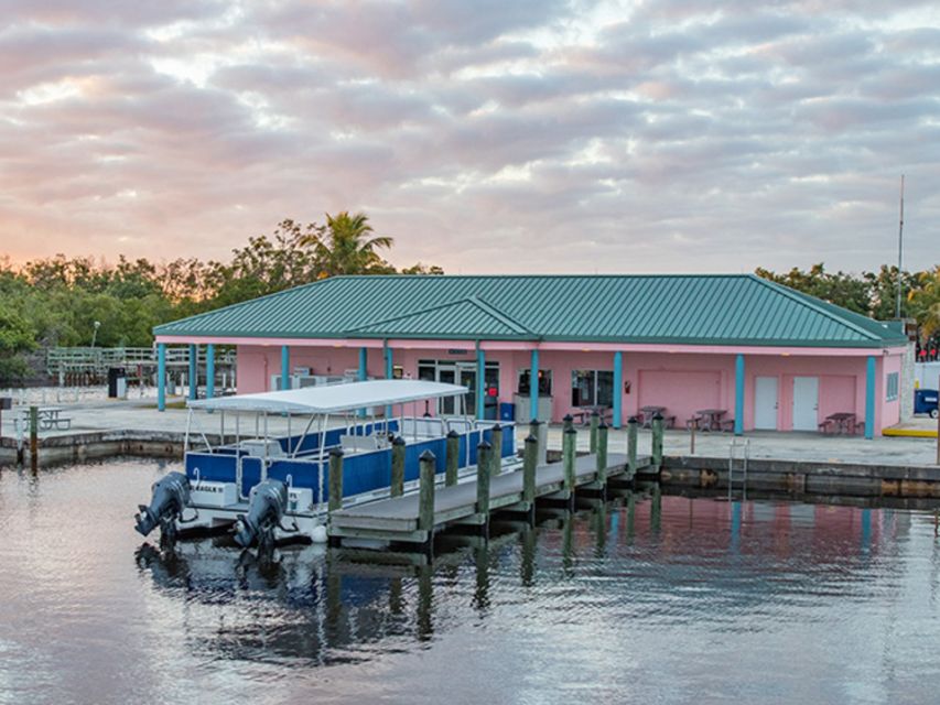 Flamingo Marina: Backcountry Boat Tour of the Everglades - Buttonwood Canal: the first look at the backcountry