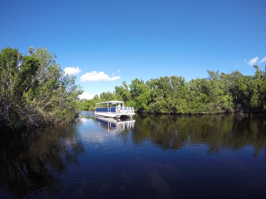 Flamingo Marina: Backcountry Boat Tour of the Everglades - What the guide adds to the boat ride