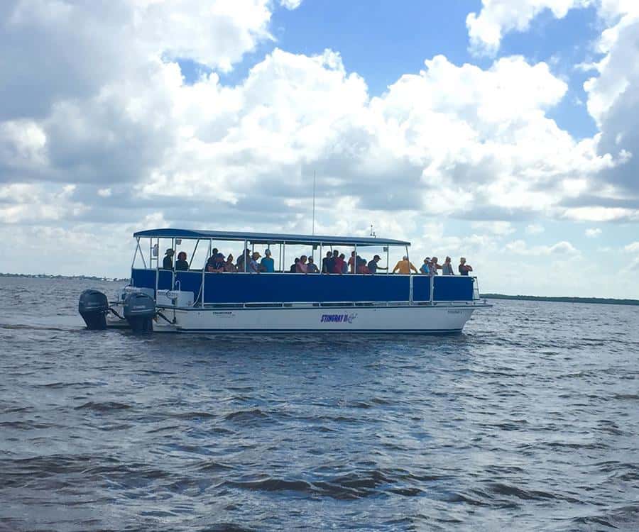 Flamingo Marina: Florida Bay Boat Tour of the Everglades - What the 90-minute Florida Bay cruise is really like