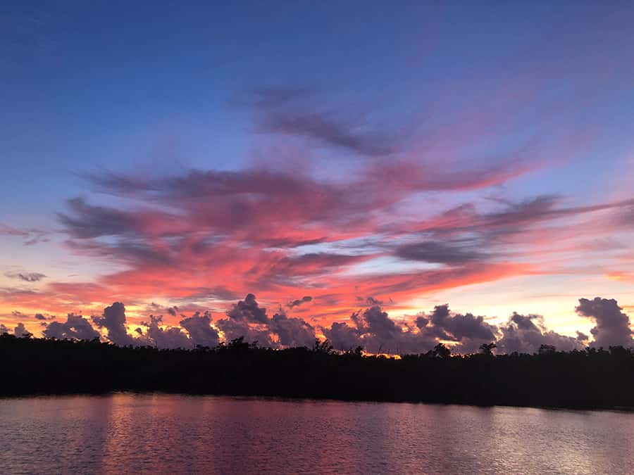 Flamingo Marina: Florida Bay Boat Tour of the Everglades - Wildlife watching in Florida Bay