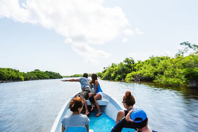 Flamingo Sightseeing Pink Lake Tour and Rio Lagartos Boat Ride - Las Coloradas and the science behind the pink water