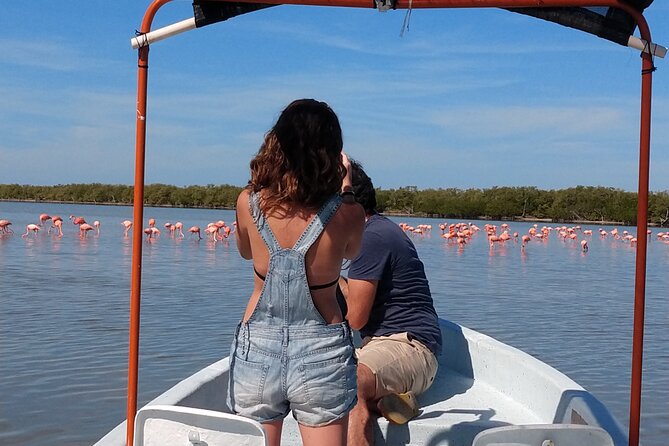 Flamingos Tour in Rio Lagartos Yucatan 2 hours - Key points before you book