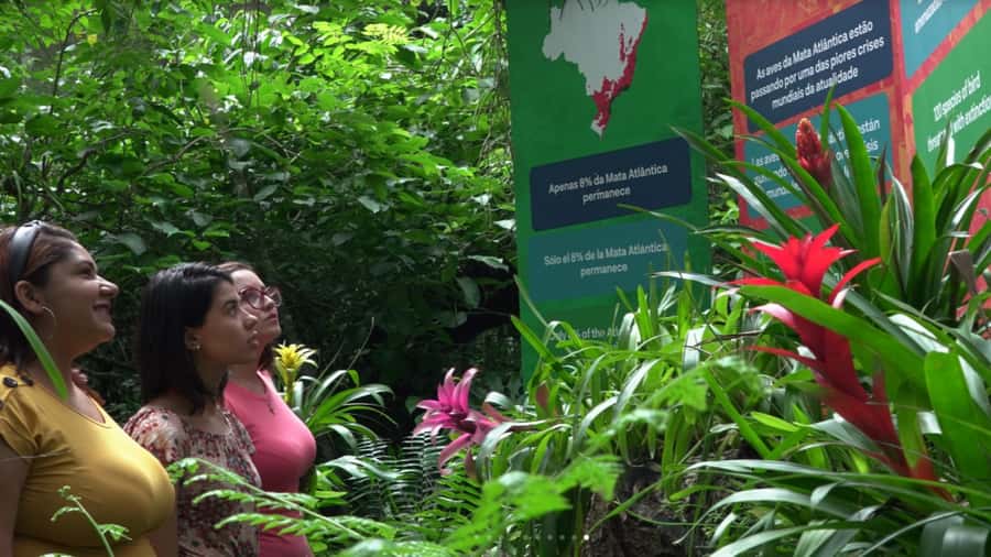 Foz do Iguaçu: Bird Park Tour with Tickets - What the guide does, and what the guide may not do