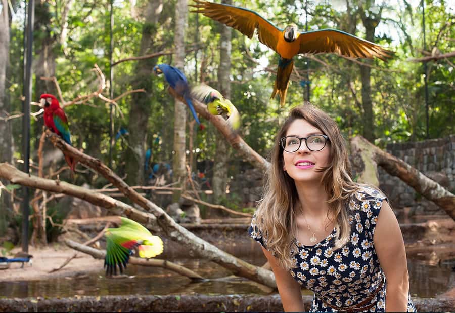 Foz do Iguaçu: Bird Park Tour with Tickets - Is $54 a fair price?