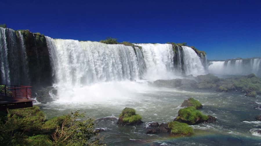 Foz do Iguaçu: Brazilian Side of the Falls + Bird Park - Devil’s Throat and the panoramic elevator