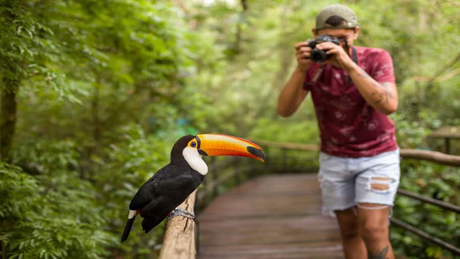 Foz do Iguaçu: Brazilian Side of the Falls + Bird Park - A practical look at the six-hour schedule
