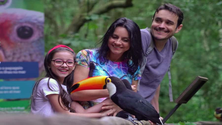 Foz do Iguaçu: Brazilian Side of the Falls + Bird Park - Small details that make the visit better