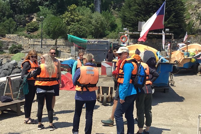 Fr VALPO: WILD PENGUINS, SEALION, SANDBOARD, PARAGLIDING & PICNIC - Why this is more than a Valparaíso city tour