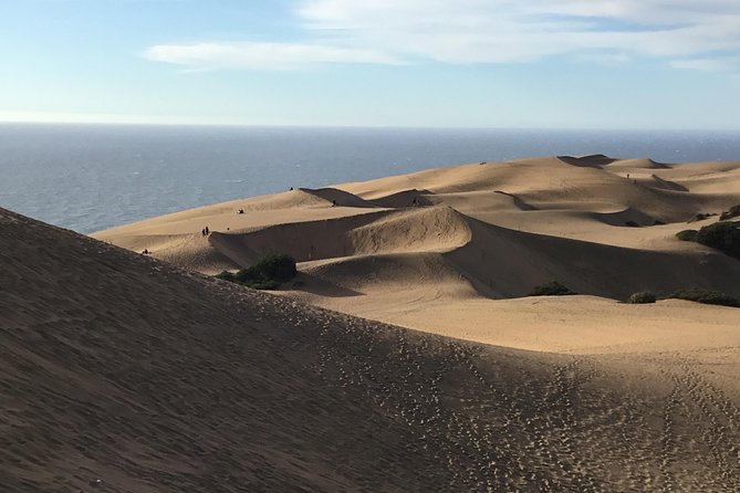Fr VALPO: WILD PENGUINS, SEALION, SANDBOARD, PARAGLIDING & PICNIC - The guides shape the day