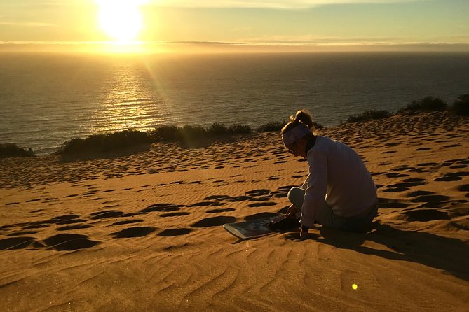 Fr VALPO: WILD PENGUINS, SEALION, SANDBOARD, PARAGLIDING & PICNIC - What the $250 price buys you