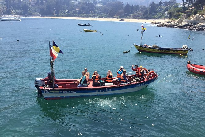 Fr VALPO: WILD PENGUINS, SEALION, SANDBOARD, PARAGLIDING & PICNIC - Sea lions and the working waterfront