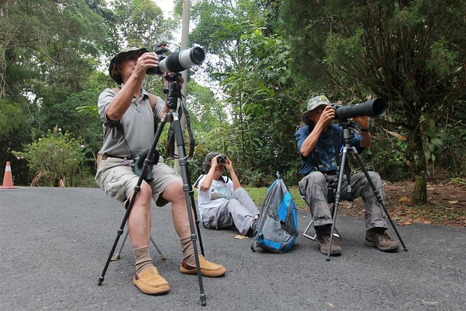 Fraser's Hill Bird-Watching & Nature Sightseeing Tour from Kuala Lumpur - Reaching Bukit Fraser Before the Heat