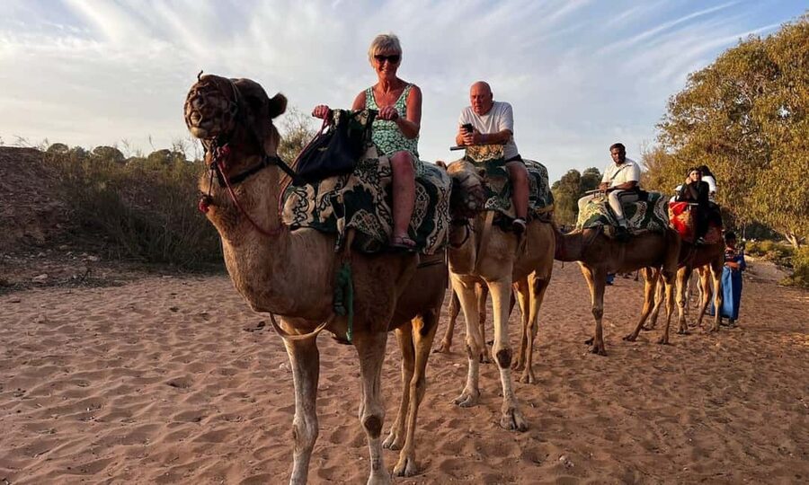 From Agadir: Camel Ride and Flamingo Trek - Riding from the forest toward the Souss River