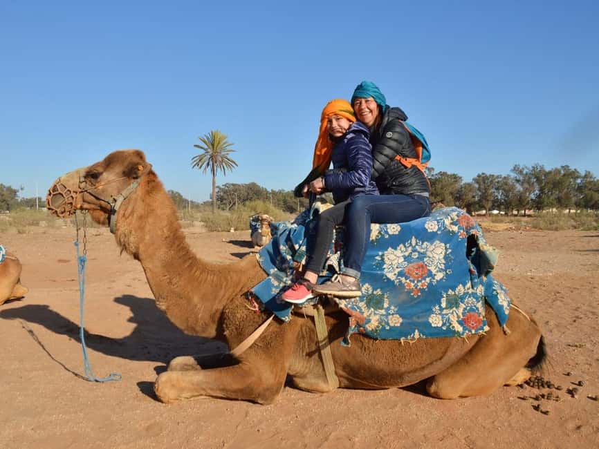 From Agadir: Camel Ride and Flamingo Trek - A look at the camels and how the ride feels