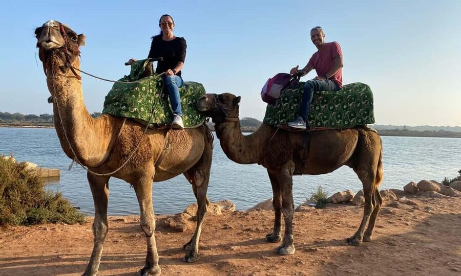 From Agadir: Camel Ride and Flamingo Trek - Guides, photos, and the local welcome