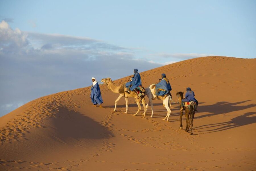 From Agadir: Camel Ride and Flamingo Trek - Transport, timing, and the small practical details