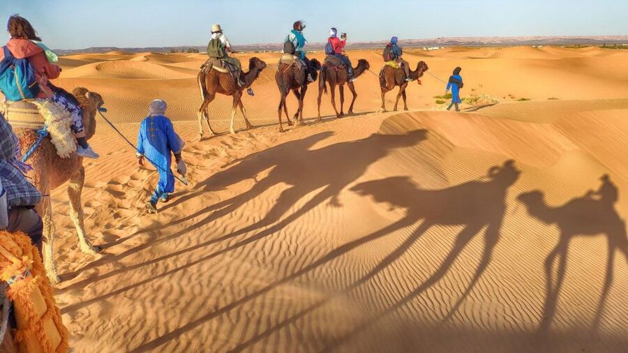 From Agadir: Camel Ride and Flamingo Trek - Is $19 good value for this experience?