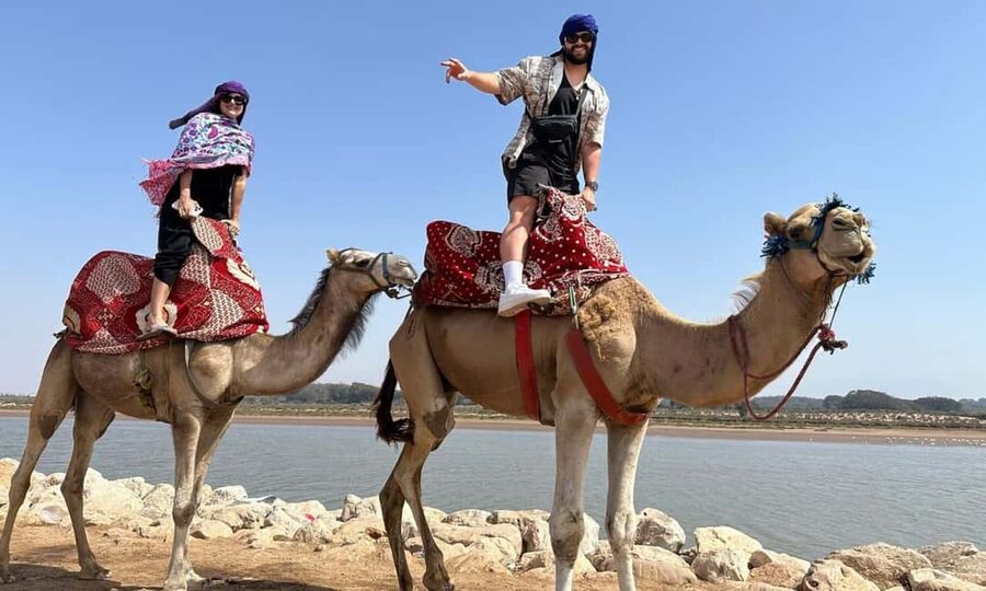 From Agadir: Camel Ride and Flamingo Trek - Who should book this camel trek?