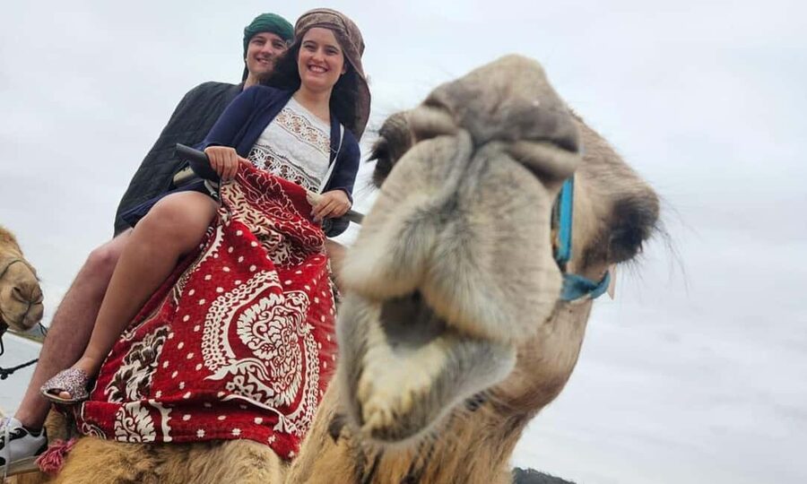 From Agadir: Camel Ride and Flamingo Trek - Flamingos at the river, with realistic expectations