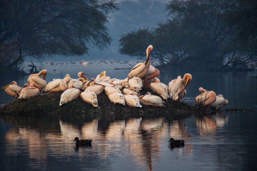 From Agra: Taj Mahal, Fatehpur Sikri & Bird Safari Tour - Who should book this tour?
