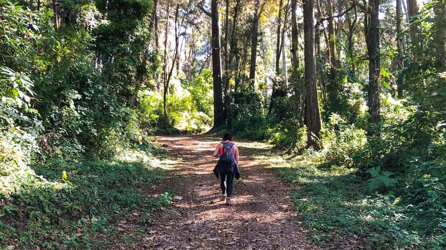 From Antigua Guatemala: Birdwatching and Scenic Hiking Tour - Leaving Antigua for Finca El Pilar