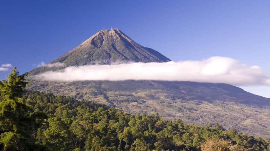From Antigua Guatemala: Birdwatching and Scenic Hiking Tour - Climbing through pine-oak forest
