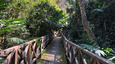 From Antigua Guatemala: Birdwatching and Scenic Hiking Tour