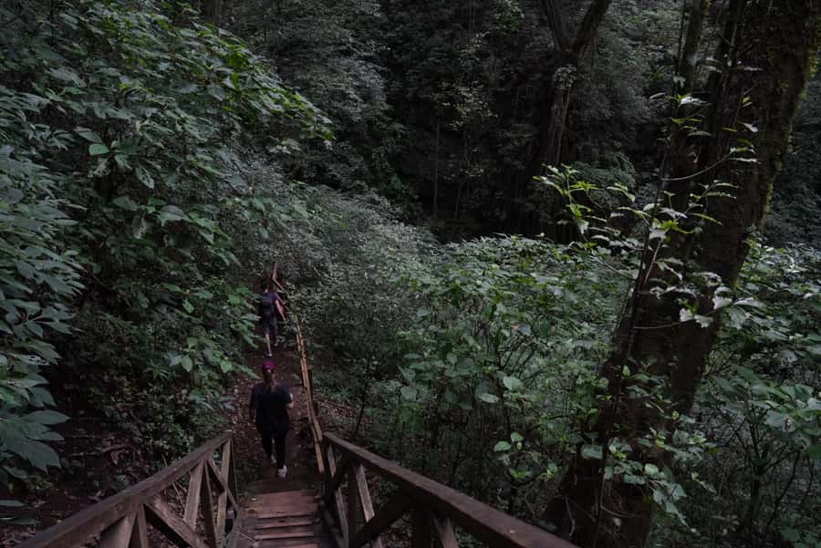 From Antigua Guatemala: Birdwatching and Scenic Hiking Tour - Watching for motmots, quail, and hummingbirds