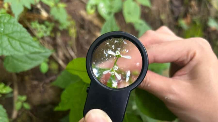 From Antigua Guatemala: Birdwatching and Scenic Hiking Tour - Practical preparation for the trail