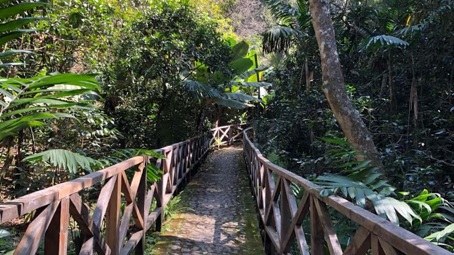 From Antigua Guatemala: Birdwatching and Scenic Hiking Tour - Starting with birds on the lower trails