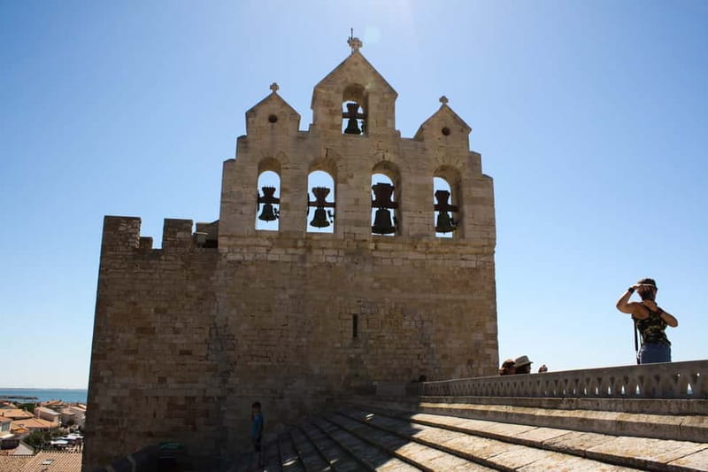 From Avignon: Camargue Tour with Bird Park Entry - Aigues-Mortes and its medieval walls