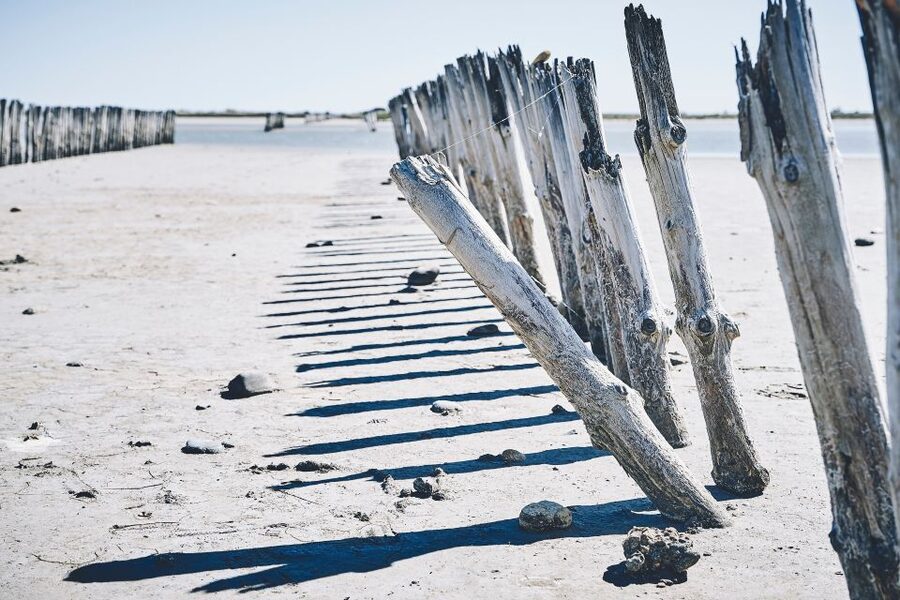 From Avignon: Camargue Tour with Bird Park Entry - Who should book this tour?