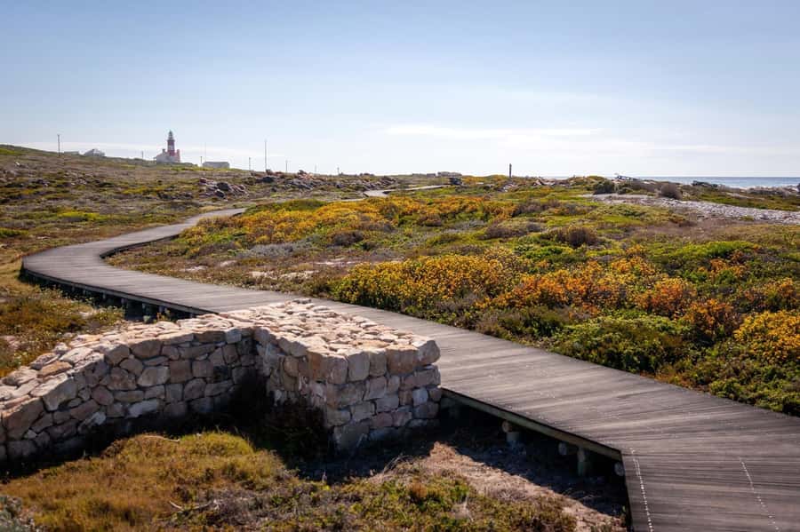 From Cape Town: Cape Agulhas, Penguins, Wine Tasting Tour - Who will enjoy this Cape Agulhas day trip?