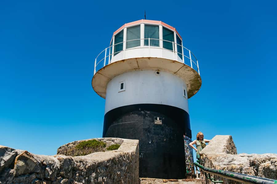 From Cape Town: Cape Peninsula & Boulders Penguin Beach Tour - Why this Cape Peninsula tour works so well