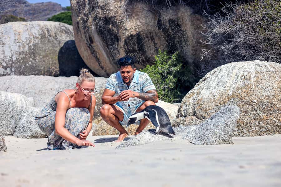 From Cape Town: Half-Day Boulders Beach and Penguins Tour - Why Boulders Beach is worth the half-day