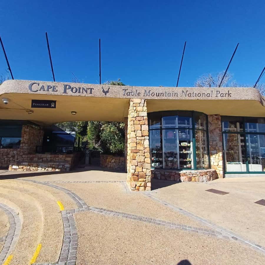 From Cape Town: Half Day Cape Point & Penguins Tour - Pickup from central Cape Town at 8:00 AM