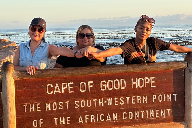 From Cape Town: Table Mountain, Cape of Good Hope & Penguins including Park Fees - Wine, lunch, and the cost of optional extras