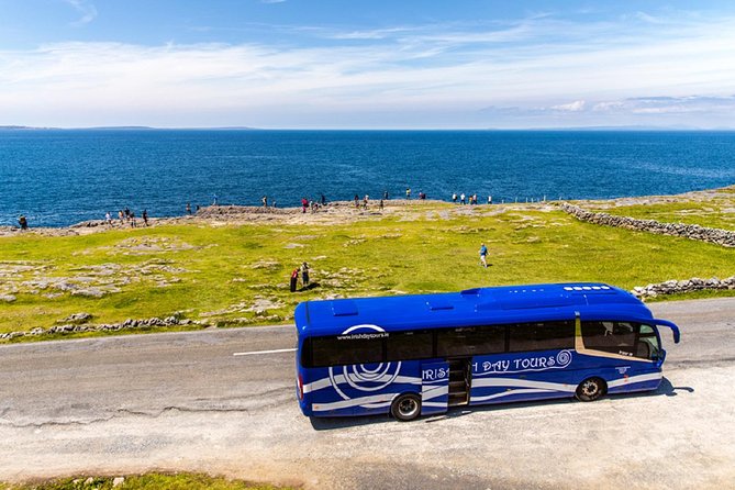 From Dublin: Cliffs of Moher, Bird of Prey & Aillwee Cave - Aillwee Cave and the Burren underground