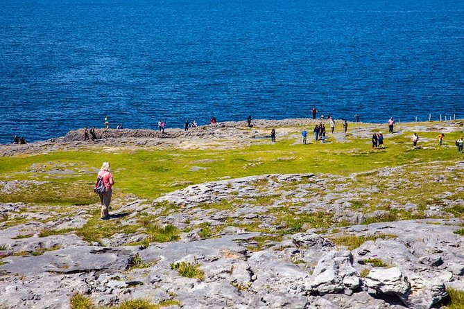 From Dublin: Cliffs of Moher, Bird of Prey & Aillwee Cave - The boat ride, and the weather problem
