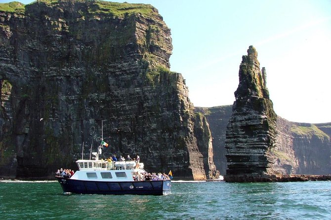 From Dublin: Cliffs of Moher, Bird of Prey & Aillwee Cave - Bird of Prey backup