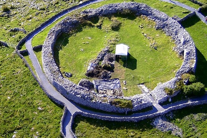 From Dublin: Cliffs of Moher, Bird of Prey & Aillwee Cave - Group size, timing, and the return to Dublin