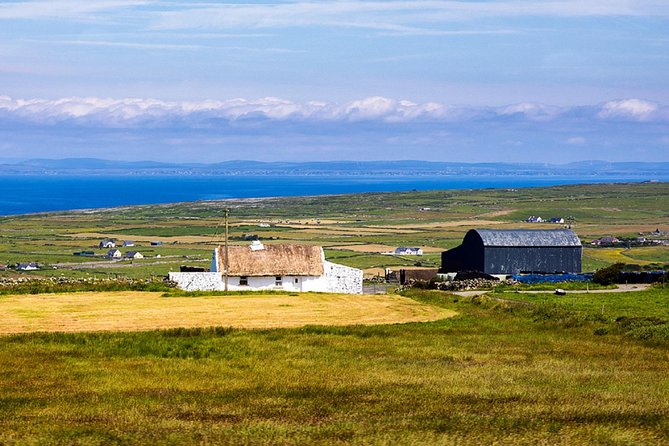 From Dublin: Cliffs of Moher, Bird of Prey & Aillwee Cave - Who should book this day trip?