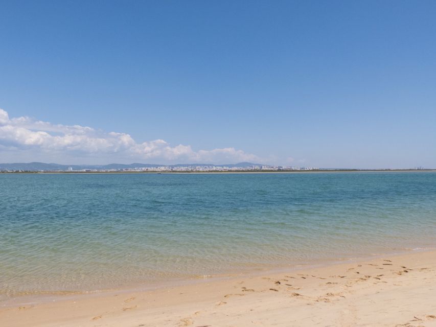 From Faro: 2-Hour Guided Bird Watching Boat Trip - Key points at a glance