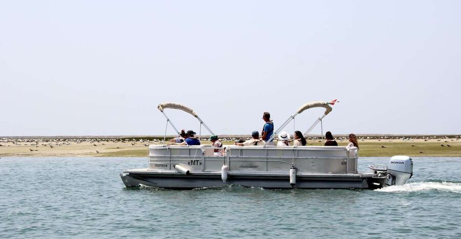 From Faro: 2-Hour Guided Bird Watching Boat Trip - The return through Faro’s water channels