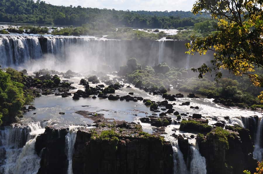 From Foz do Iguaçu: Brazilian Falls and Bird Park Tour - Key points to know before booking