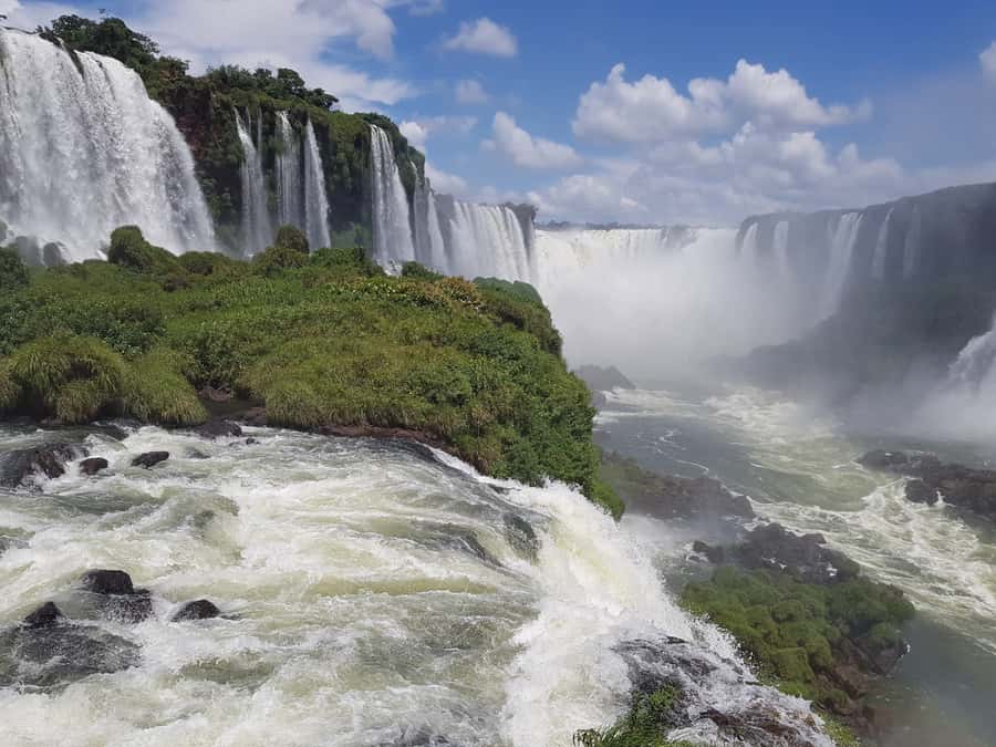 From Foz do Iguaçu: Brazilian Falls and Bird Park Tour - Through 11 kilometers of Iguazu National Park